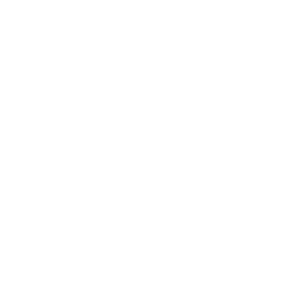 Special Contents